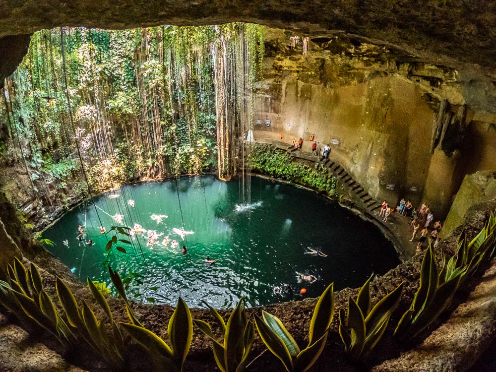 family diving in a Mexican cenote